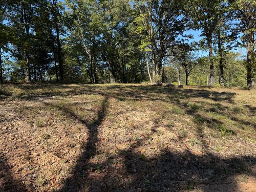 Lot #2 Indian Hills Drive, Anderson, MO, 64831 | Card Image