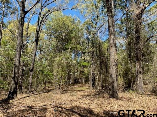 TBD Armadillo, Murchison, TX, 75778 | Card Image