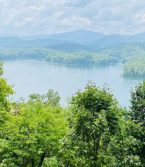 00 Cheoah Trl, Robbinsville, NC, 28771 | Card Image