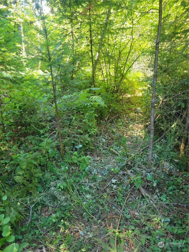Trail into property | Image 18
