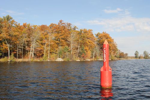 lot-1-C280 Lower Buckhorn Lake N/A, Trent Lakes, ON, K0L1J0 | Card Image