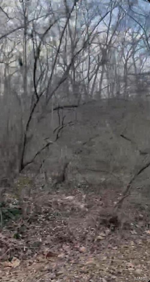 308 Pawnee, Irondale, MO, 63648 | Card Image