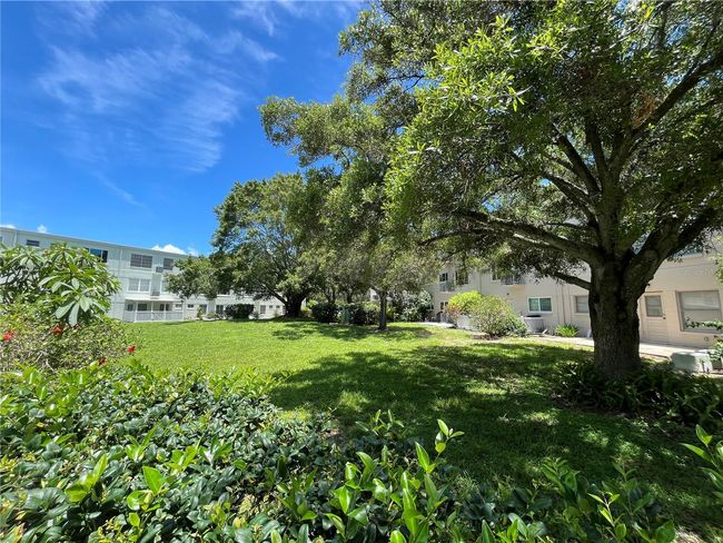 APT-24 - 2256 Philippine Dr, Condo with 2 bedrooms, 2 bathrooms and null parking in CLEARWATER FL | Image 33