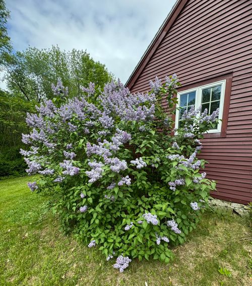 704 Cedar Grove Rd, Dresden, ME, 04342-3401 | Card Image