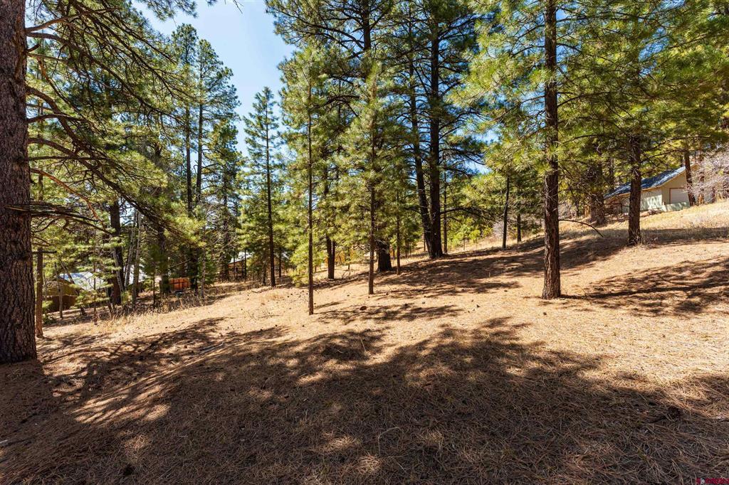 Land in Bayfield 5