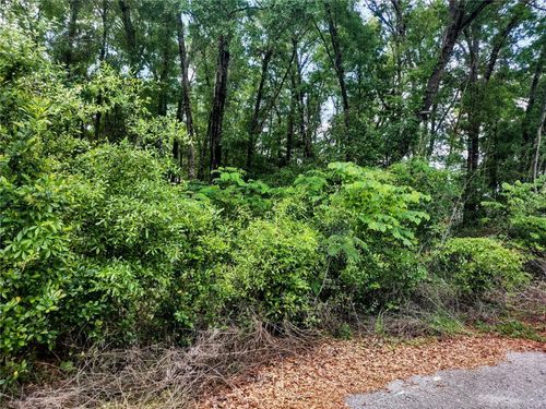 TBD Ne 12th Ln, WILLISTON, FL, 32696 | Card Image