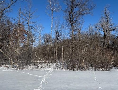 1813 11th St N, Sartell, MN, 56377-0017 | Card Image