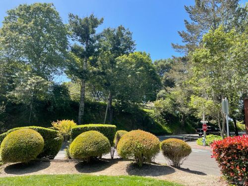 apt-1-105 Virginia Ave, Sebastopol, CA, 95472-3509 | Card Image