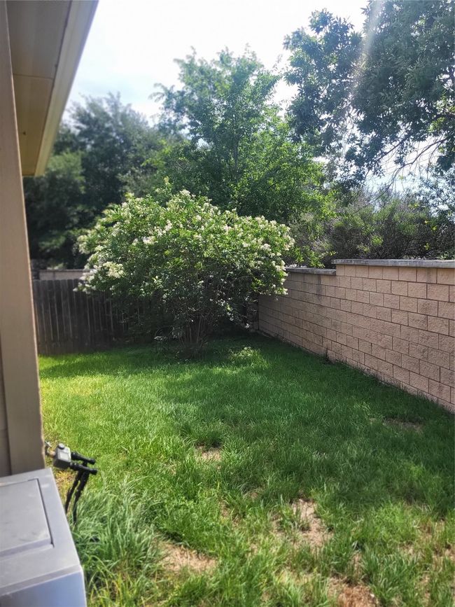 View of yard, Beautiful Trees | Image 17