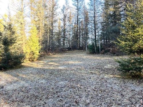 11812 Howen Rd E, Long Lake, WI, 54542 | Card Image