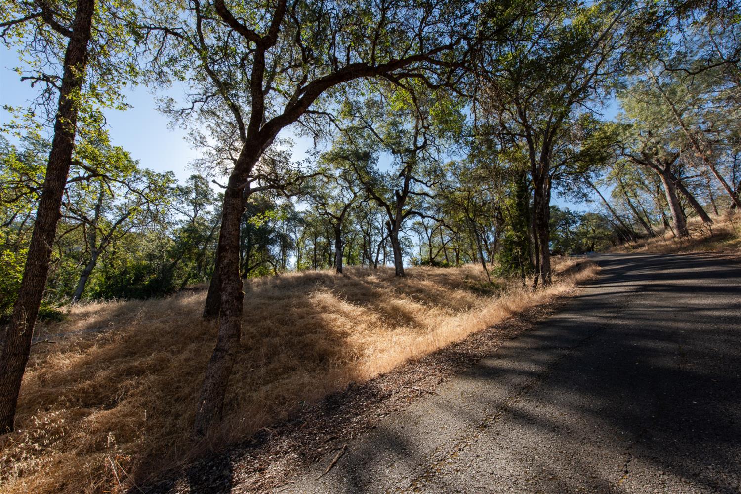 Land in Placerville