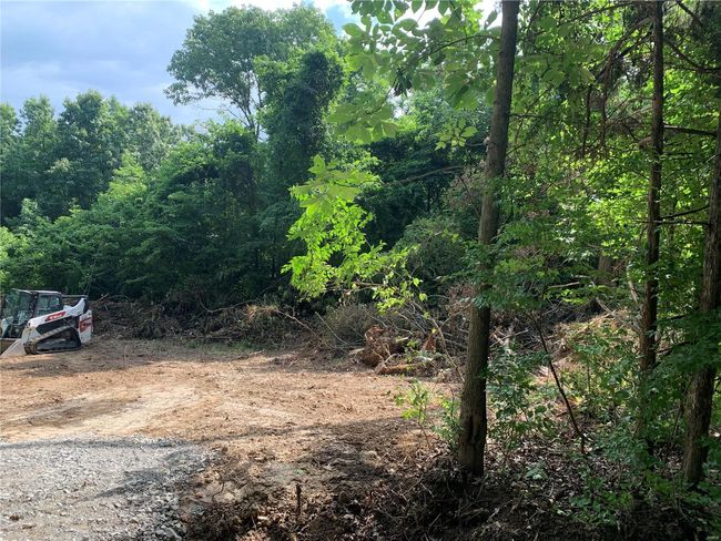View of yard | Image 11