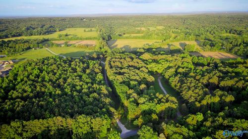 18 Acres S Court St, Decatur, AL, 35603-7401 | Card Image