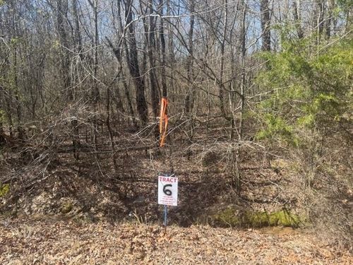 TRACT 6 Hwy 22a Hwy, Jacks Creek, TN, 38347 | Card Image