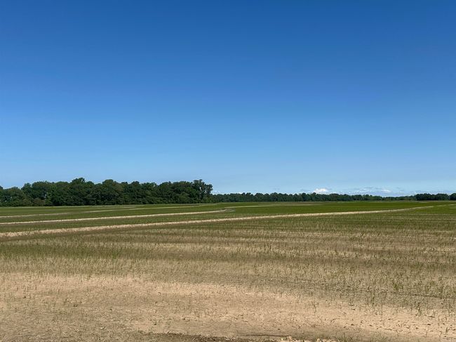 0 Ukena Rd, Home with 0 bedrooms, 0 bathrooms and null parking in Weiner AR | Image 25