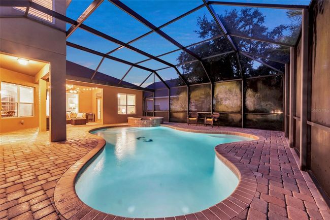 31646 Baymont Loop, House other with 5 bedrooms, 4 bathrooms and null parking in WESLEY CHAPEL FL | Image 72