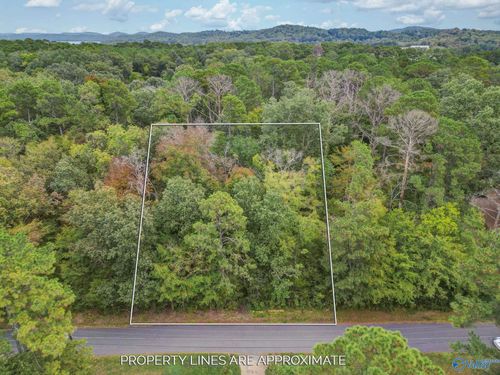 Lot 3 Bayshore Drive, Guntersville, AL, 35976 | Card Image