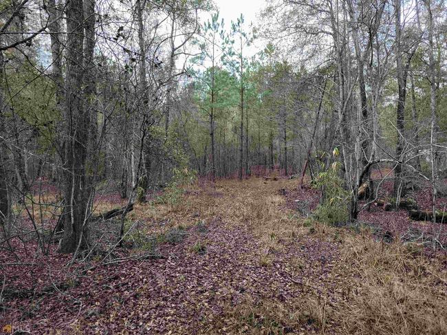 2757 Us Highway 1 N, Home with 0 bedrooms, 0 bathrooms and null parking in swainsboro GA | Image 32