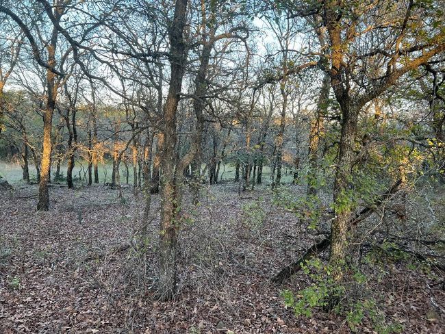 827 Erwin Rd, Home with 0 bedrooms, 0 bathrooms and null parking in Jacksboro TX | Image 5