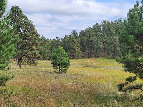 TBD Haugan Trail, Hermosa, SD, 57744 | Card Image