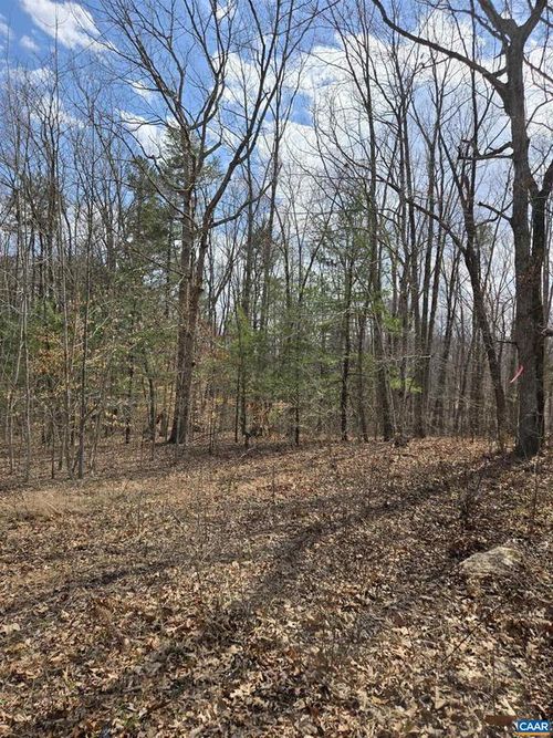 Lot 41B Ed Jones Rd, SCOTTSVILLE, VA, 24590-4273 | Card Image