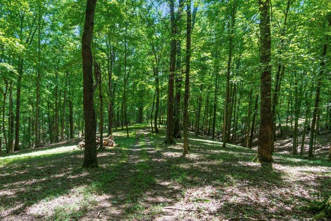 58501 Us Highway 50, Home with 0 bedrooms, 0 bathrooms and null parking in Mc Arthur OH | Image 68