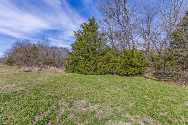 Tract 5 Private Road 6040, Home with 0 bedrooms, 0 bathrooms and null parking in Blue Ridge TX | Image 9