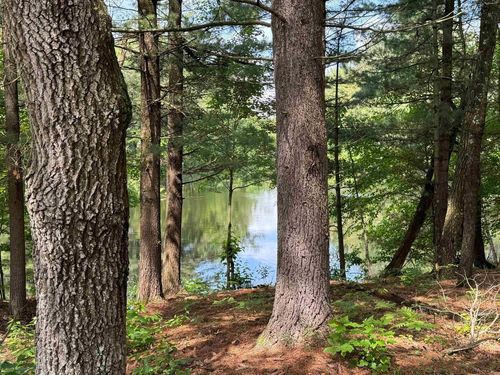 129 Lake Shore Dr, Wisconsin Dells, WI, 53965-8380 | Card Image