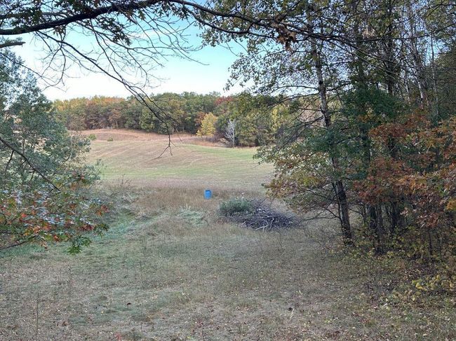 IMG_7411.JPG | Image 17