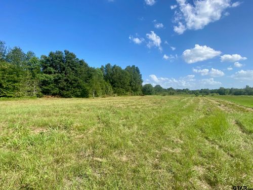 Lot #134 Jb Mcduff Drive, Crockett, TX, 75835 | Card Image