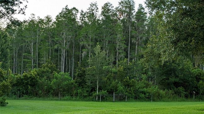 conservation view | Image 7