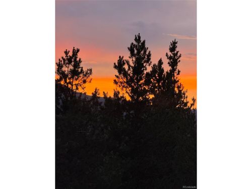 446 Mt Massive Rd, Twin Lakes, CO, 81251 | Card Image