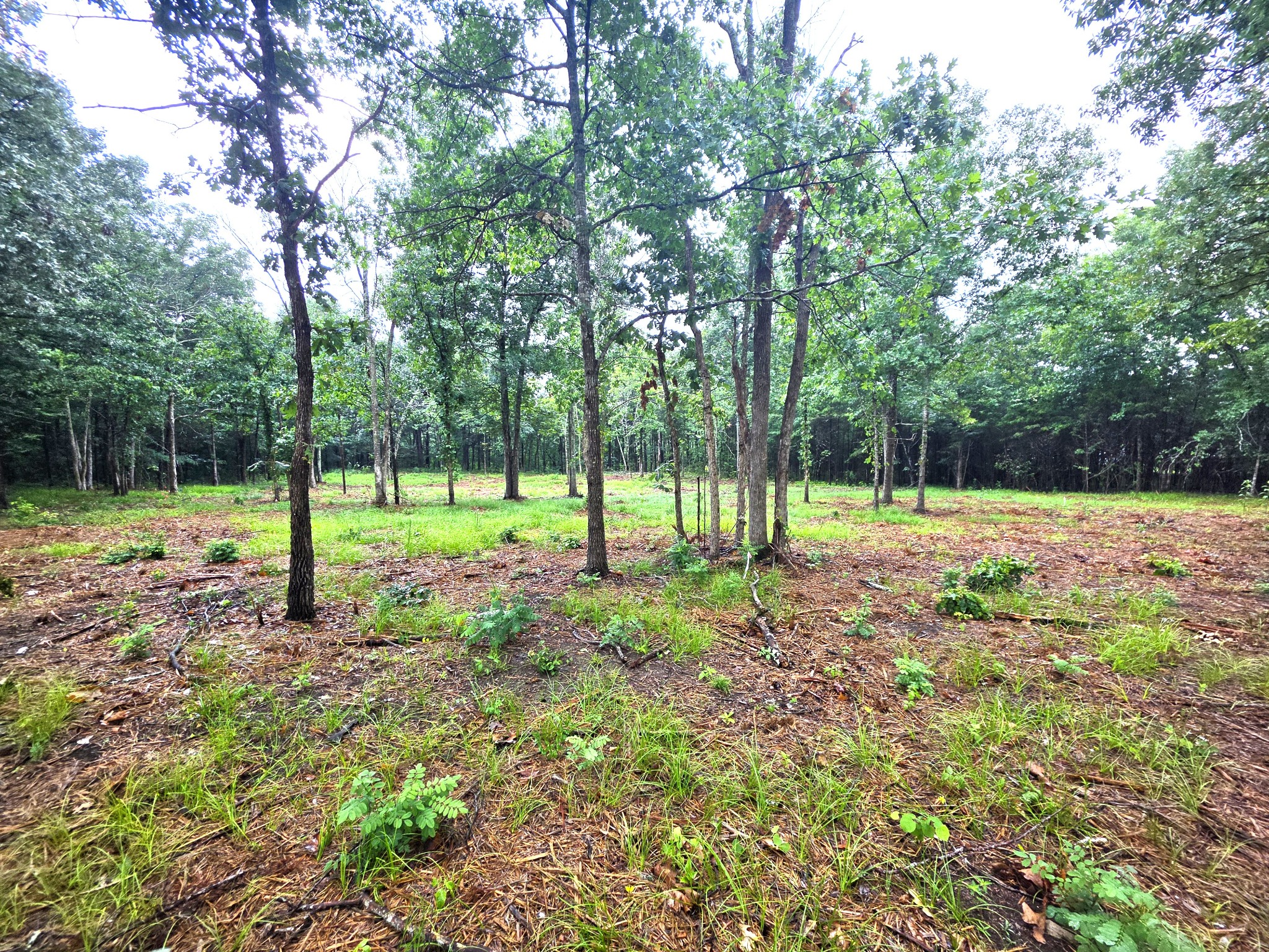 Land in Mount Juliet 3
