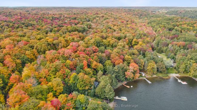 1464 N Shore Rd, House other with 4 bedrooms, 2 bathrooms and 7 parking in Utterson ON | Image 5