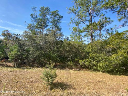 103 Dolphin Dr, GEORGETOWN, FL, 32139-2303 | Card Image