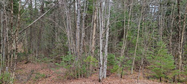 Lot 12 Mirror Lake Estates Dr, Home with 0 bedrooms, 0 bathrooms and null parking in Whitefield NH | Image 24