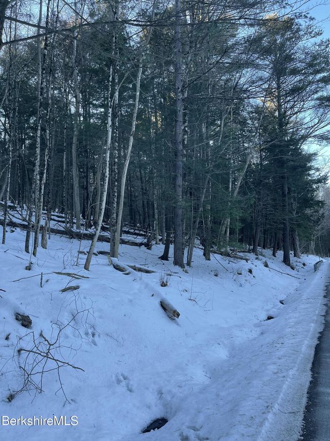 14 Partridge Rd, Home with 0 bedrooms, 0 bathrooms and null parking in Lanesborough MA | Image 19