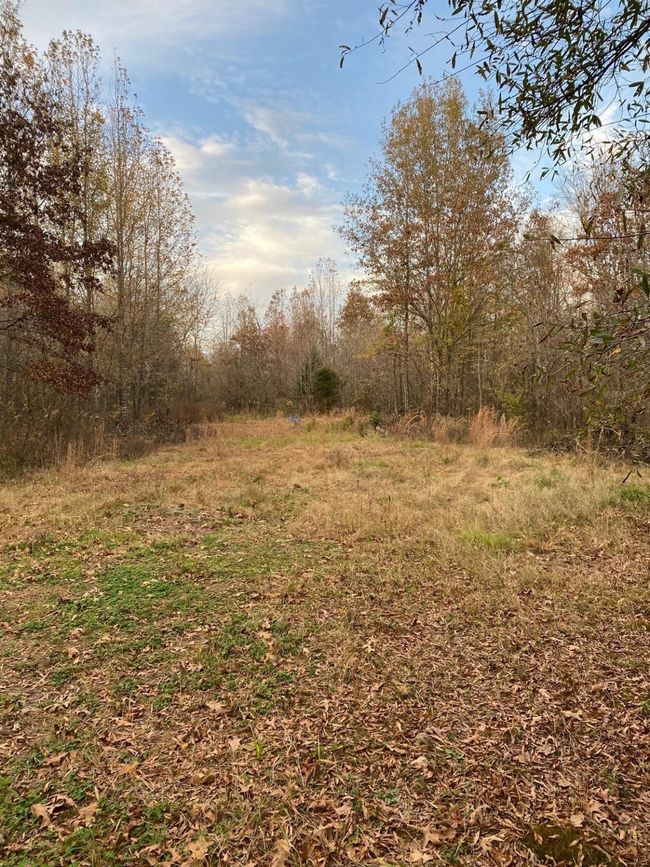 View of nature | Image 13