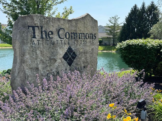 Video tour: youtube- 4947 Common Market Place, Dublin OH 43016. 2 BR 2 BA ranch condo | Image 44
