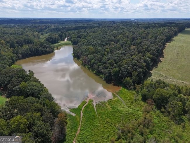 TRACT-10 - 0 Sanford Dr, Home with 0 bedrooms, 0 bathrooms and null parking in Nicholson GA | Image 11
