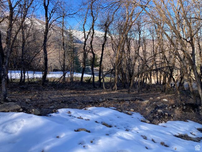 View of yard featuring a view of trees | Image 8