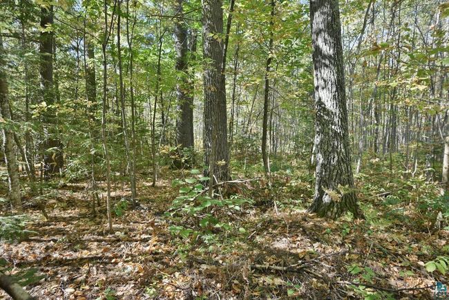 Lot 1 County Highway C, Home with 0 bedrooms, 0 bathrooms and null parking in Cornucopia WI | Image 12