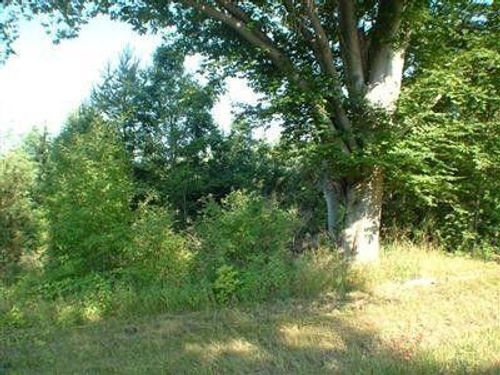 5893 Austrian Pine Ln, Grant, MI, 49327-8488 | Card Image