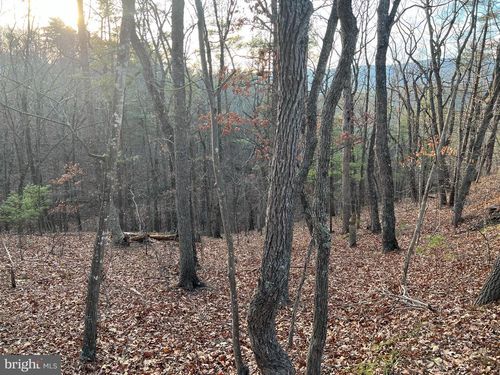 0 Straton Ct, BASYE, VA, 22810 | Card Image