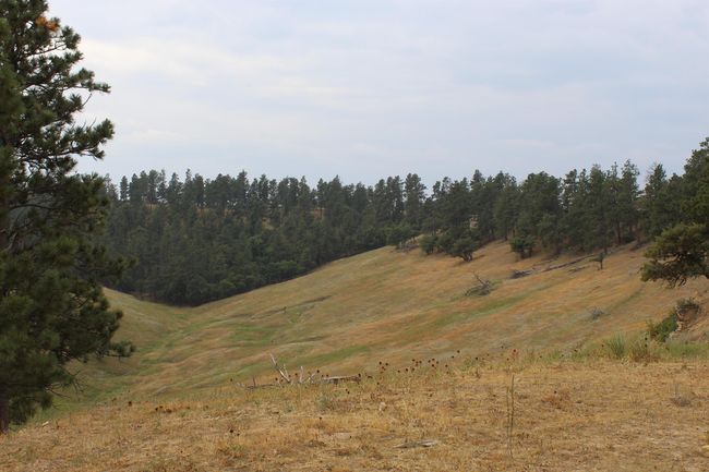 371 New Haven Rd, Home with 0 bedrooms, 0 bathrooms and null parking in Hulett WY | Image 32