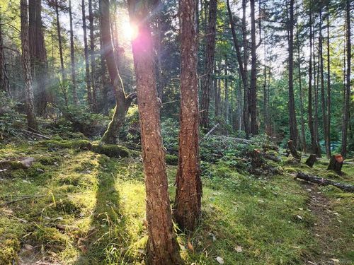 274 Sockeye Dr, Mudge Island, BC, V0R1X6 | Card Image