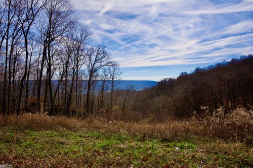 323 White Oak Flatt Rd, Sparta, TN, 38583 | Card Image