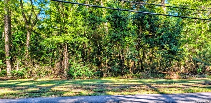 Land in Greensboro 4