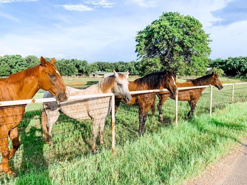 4241 Cheyenne Trl, Cross Roads, TX, 76227-5964 | Card Image
