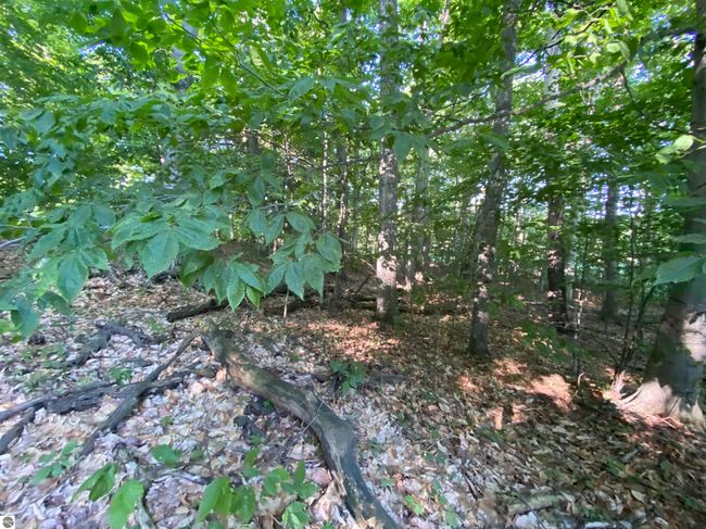 Lot 10 S Club Dr, Home with 0 bedrooms, 0 bathrooms and null parking in Cedar MI | Image 4